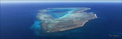 Fitzroy Reef - QLD (PBH4 00 18388)